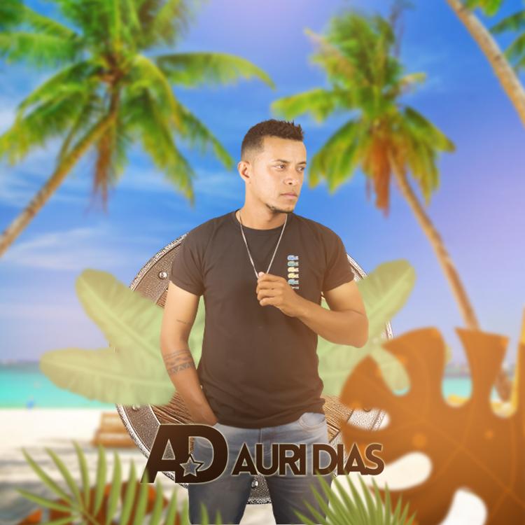 AURI DIAS's avatar image