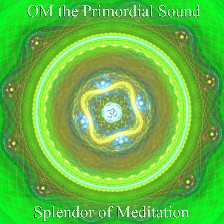 Splendor of Meditation's avatar image