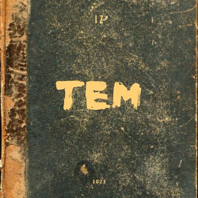 Tem By IZ's cover