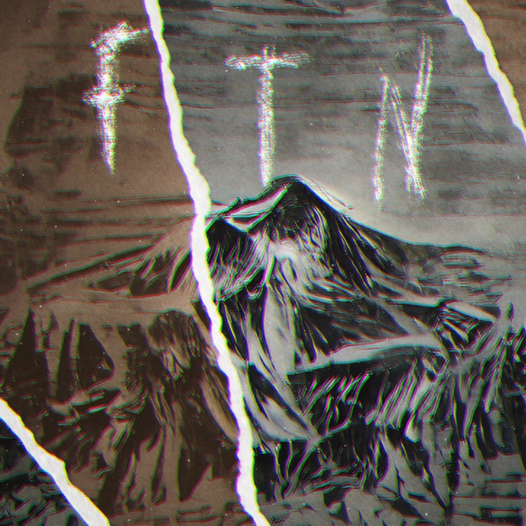 F.T.N.'s avatar image