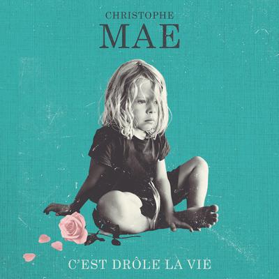 C'est drôle la vie's cover