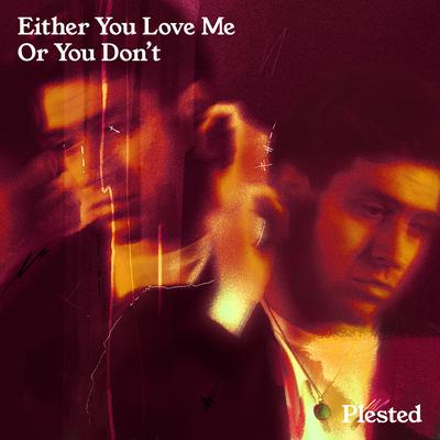 Either You Love Me Or You Don't's cover