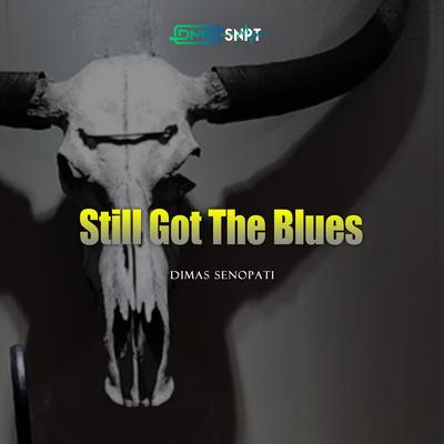 Still Got The Blues (Acoustic) By Dimas Senopati, Dimas himself's cover