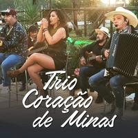 Trio Coração De Minas's avatar cover