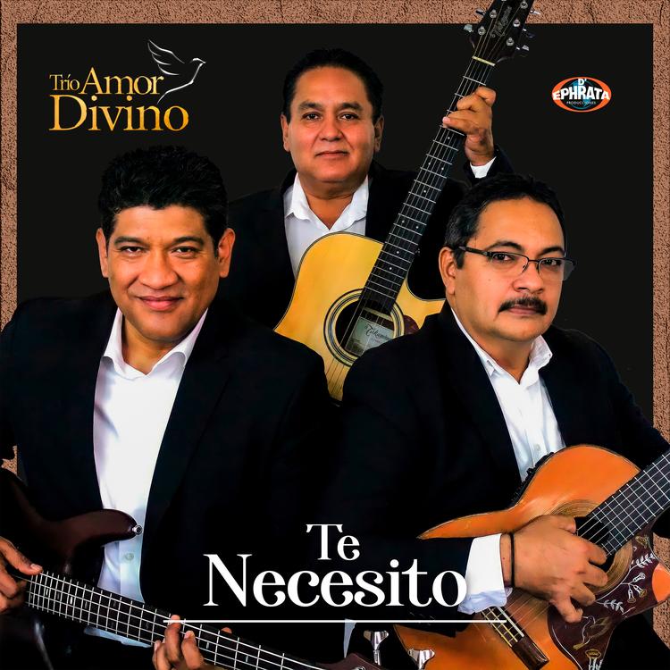 Trio Amor Divino's avatar image