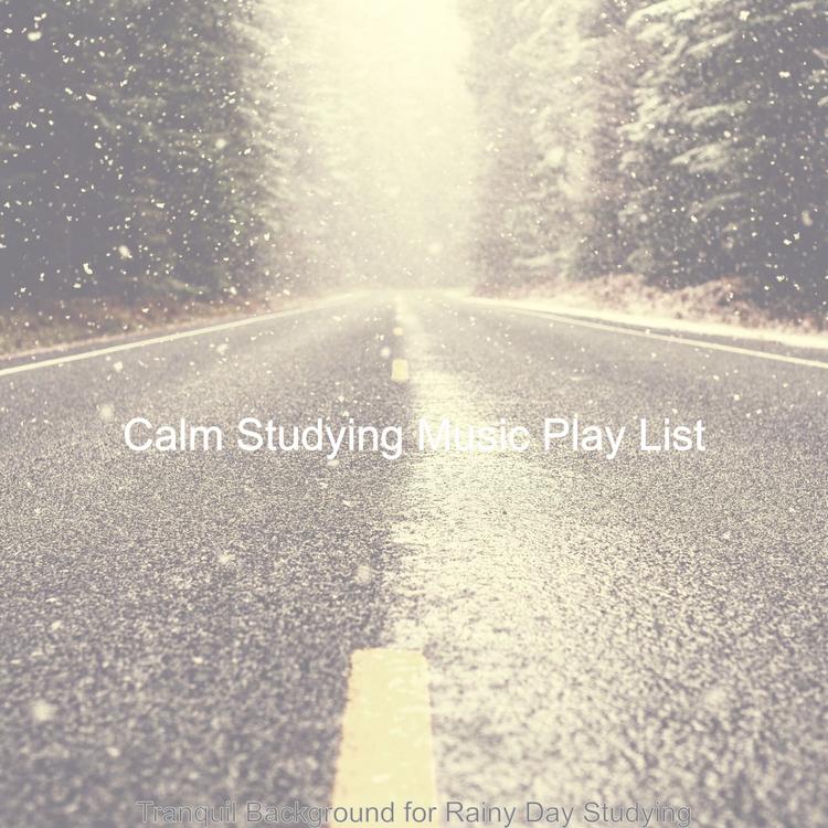 Calm Studying Music Playlist's avatar image