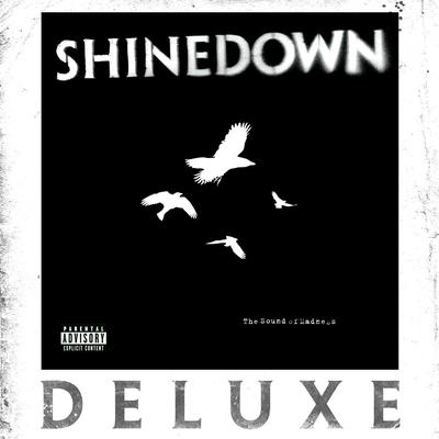 Sound of Madness By Shinedown's cover