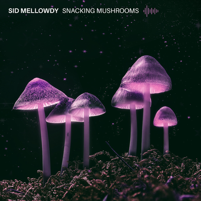 Snacking Mushrooms By Sid Mellowdy's cover