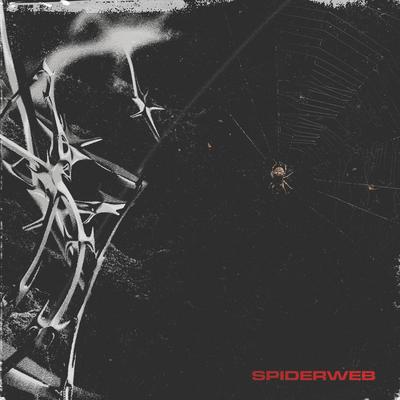 Spiderweb By Frontières's cover