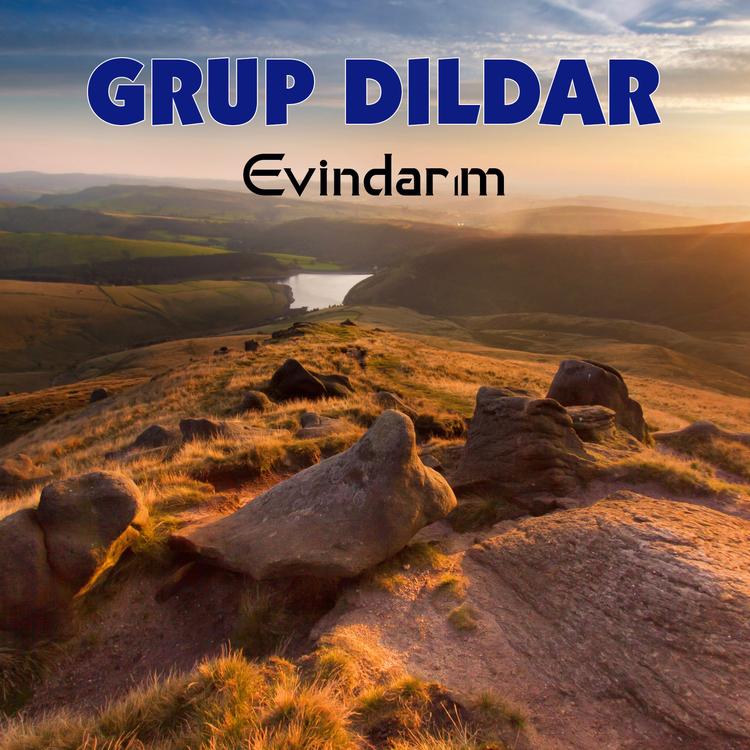 Grup Dıldar's avatar image