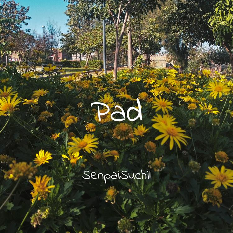 SenpaiSuchil's avatar image