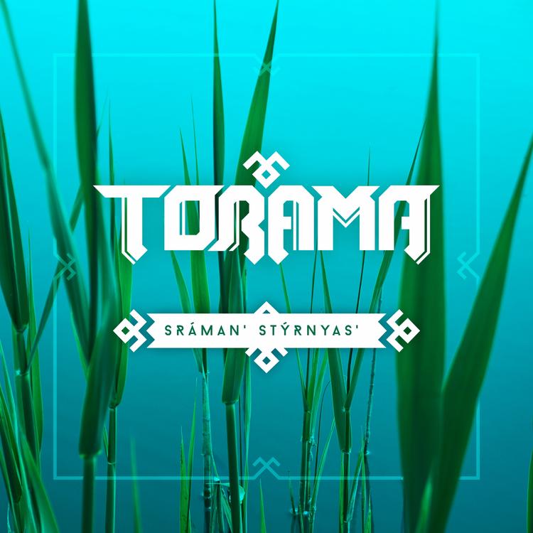 Torama's avatar image