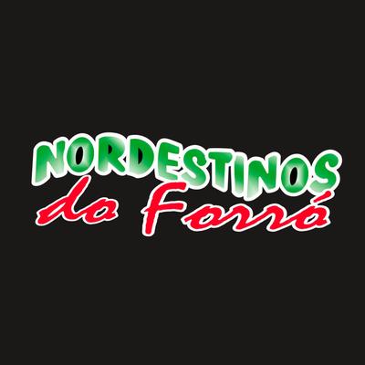 Nordestinos do Forró, Vol. 1's cover