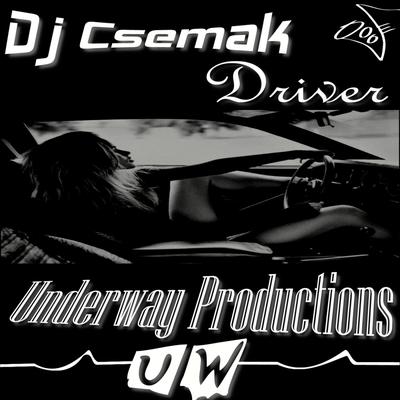 Driver's cover