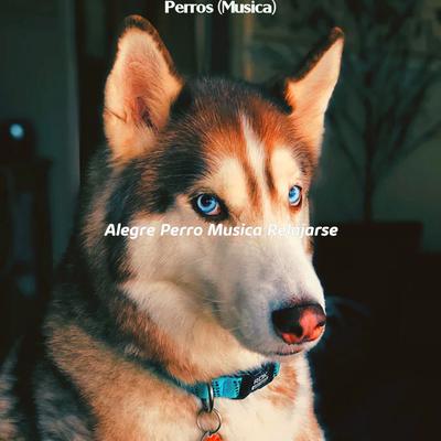 Perros (Musica)'s cover