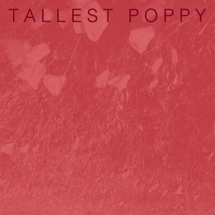 Tallest Poppy's avatar image