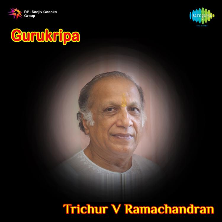 Thrichur V. Ramachandran's avatar image