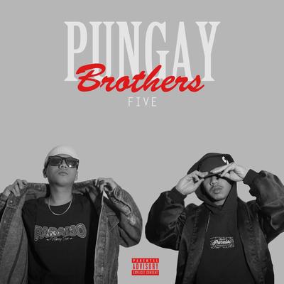 The Pungay Brothers 5's cover