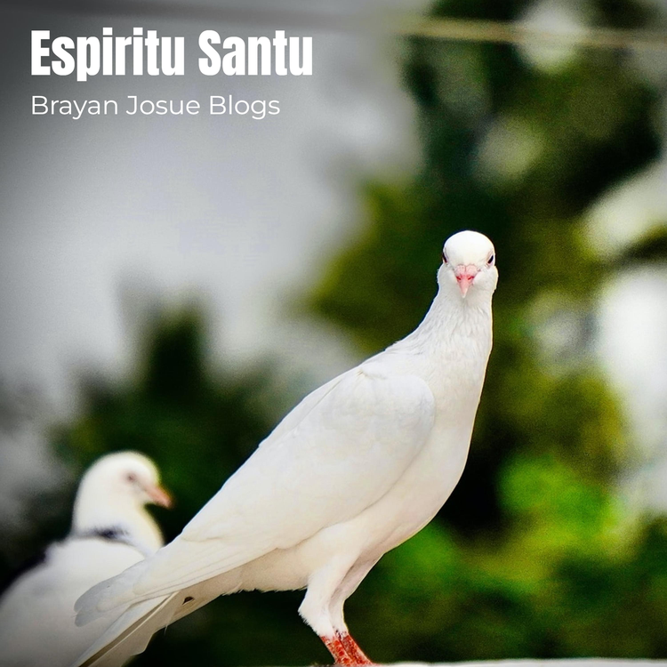 Brayan Josue Blogs's avatar image