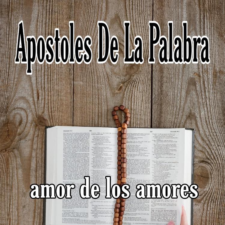 Apóstoles De La Palabra's avatar image