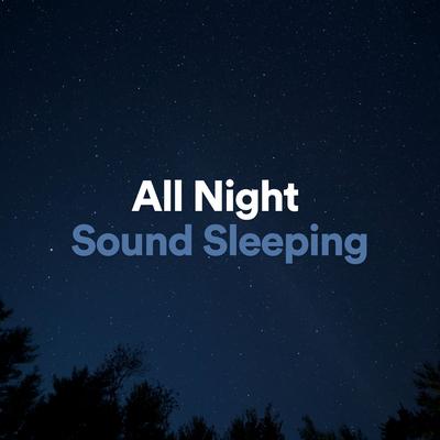All Night Sound Sleeping, Pt. 23's cover