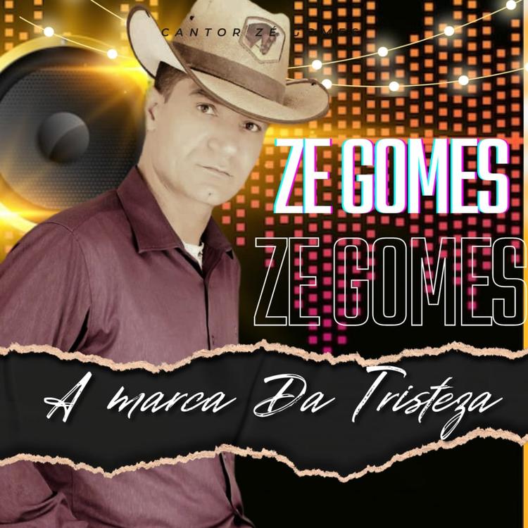 cantor Zé gomes's avatar image