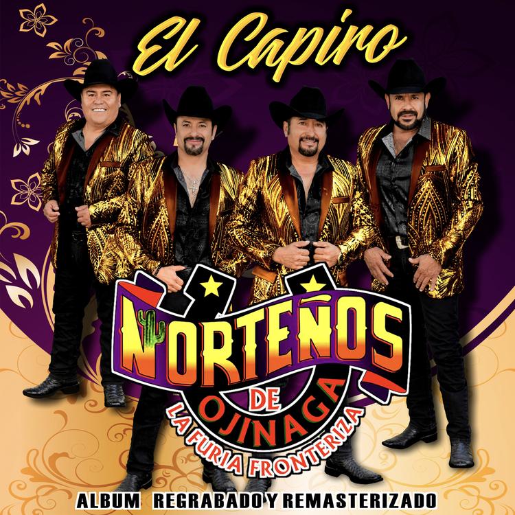 Norteños De Ojinaga's avatar image