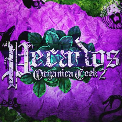 Orgânica Geek 2 - Pecados By SecondTime, Gsuss, Meizy's cover