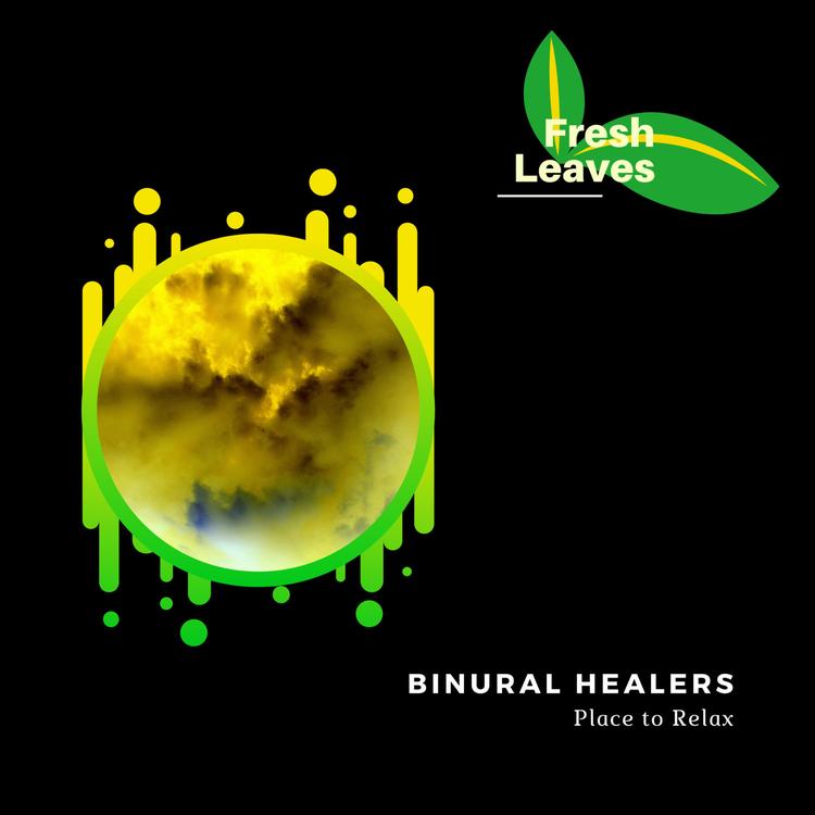 Binural Healers's avatar image