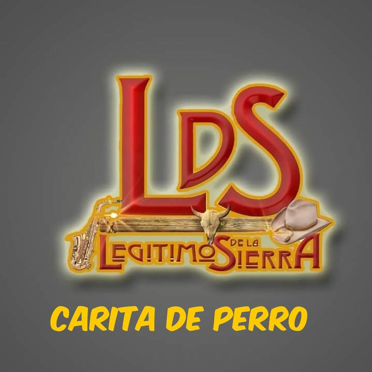 Legitimos De La Sierra's avatar image