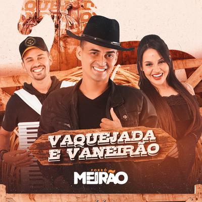 A Vaquejada By Forró Meirão's cover