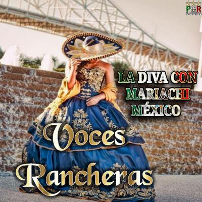 La Diva Con Mariachi Mexico's cover