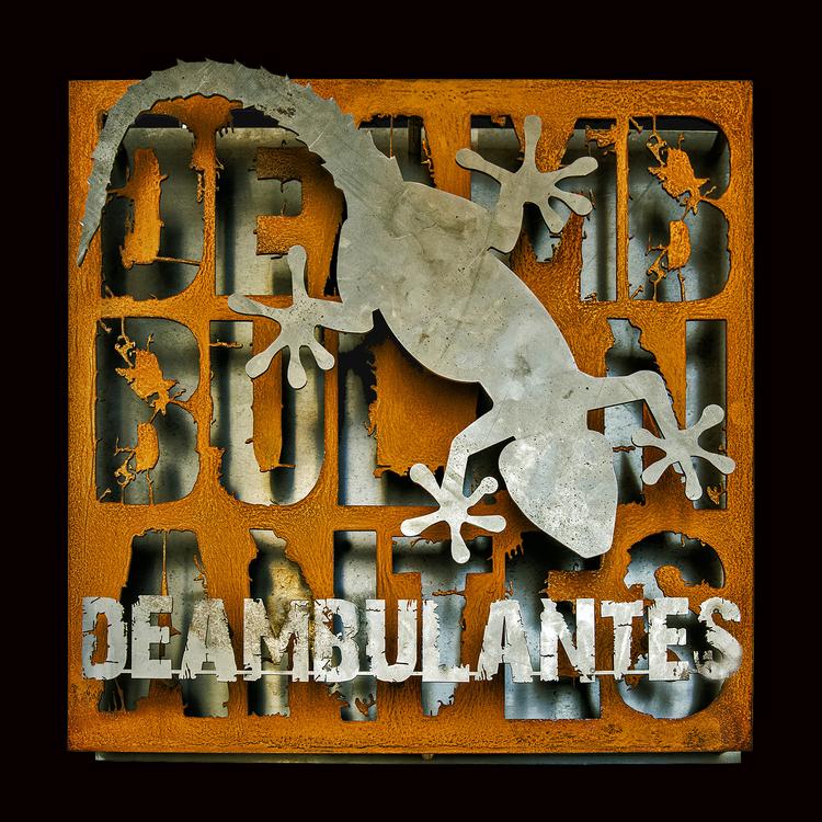 Deambulantes Road's avatar image