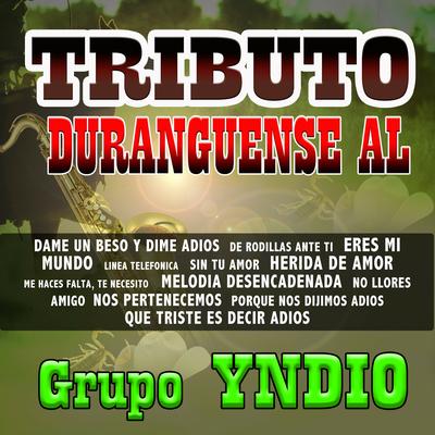 Tributo Duranguense's cover
