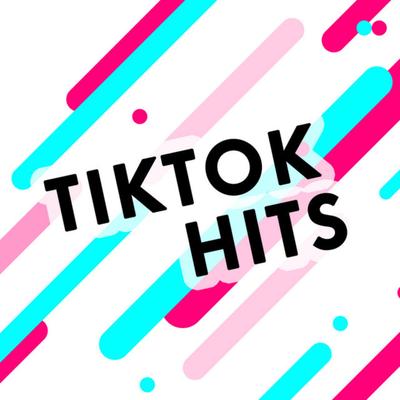 TikTok Hits By Mega Perreo Brasileño's cover