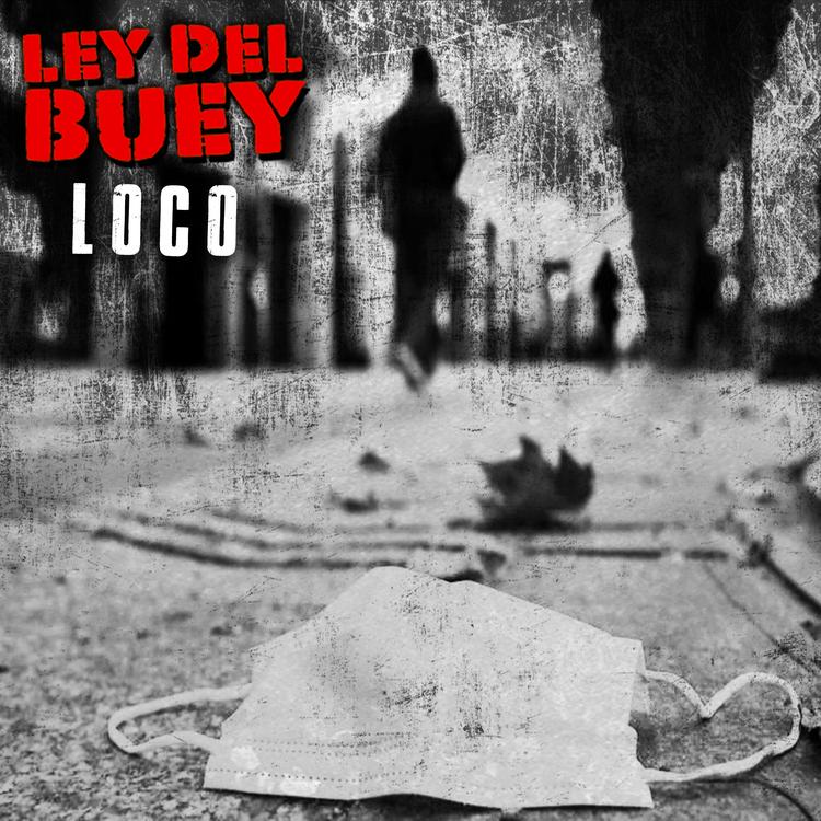 Ley del Buey's avatar image
