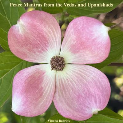 Peace Mantras from the Vedas and Upanishads's cover