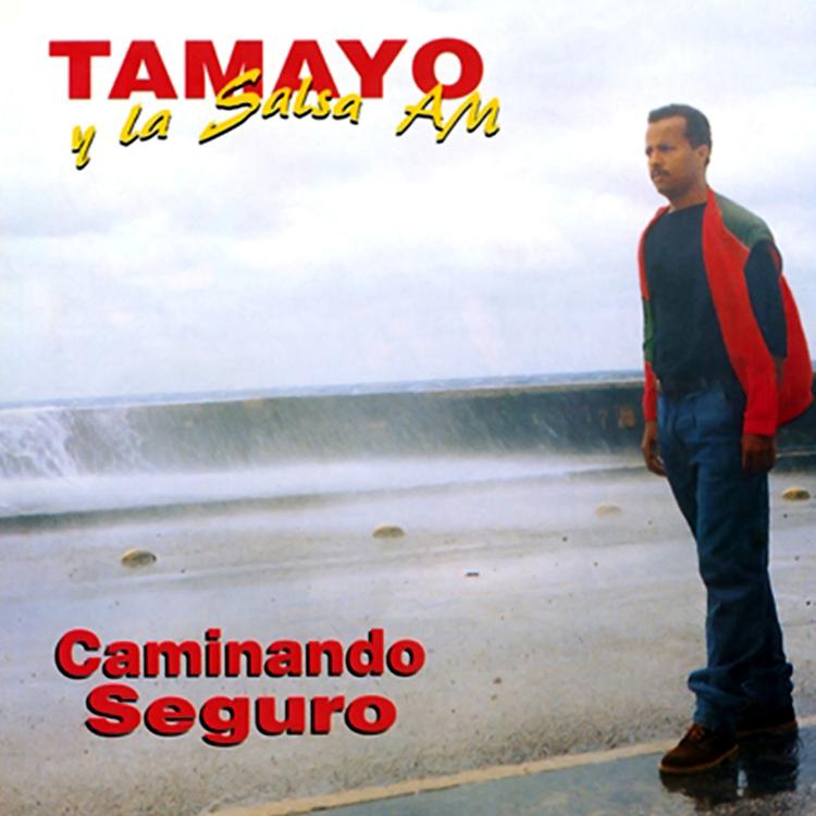 Tamayo y su Salsa AM's avatar image