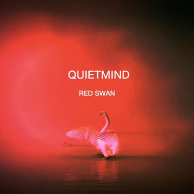 Red Swan (From "Attack on Titan") (Instrumental) By Quietmind's cover