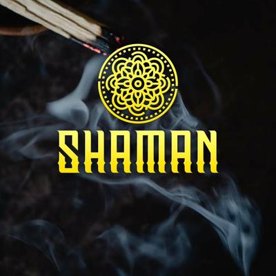 Walk the Moon By Shaman's cover