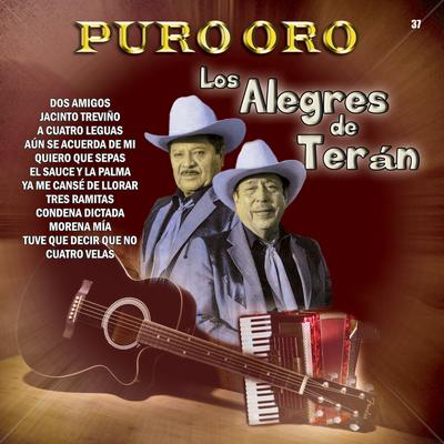 Puro Oro Los Alegres De Teran's cover