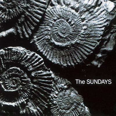 Can't Be Sure By The Sundays's cover