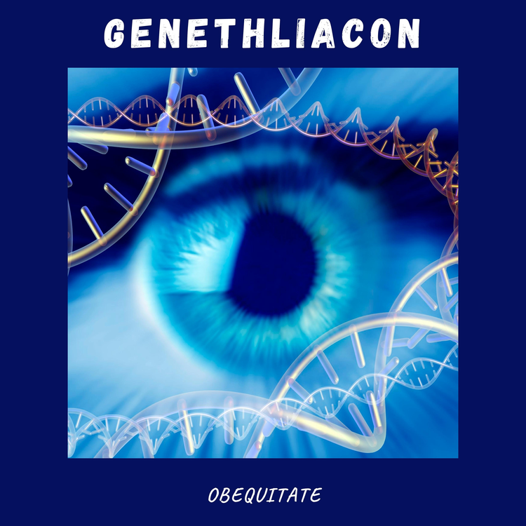 Obequitate's avatar image