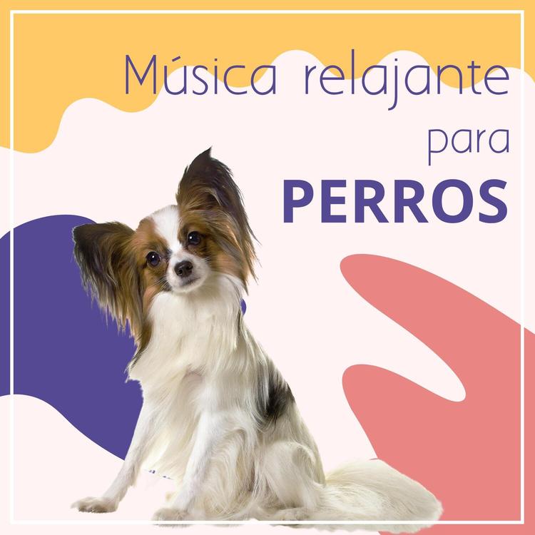 Canciones de cuna instrumentales para cachorros's avatar image
