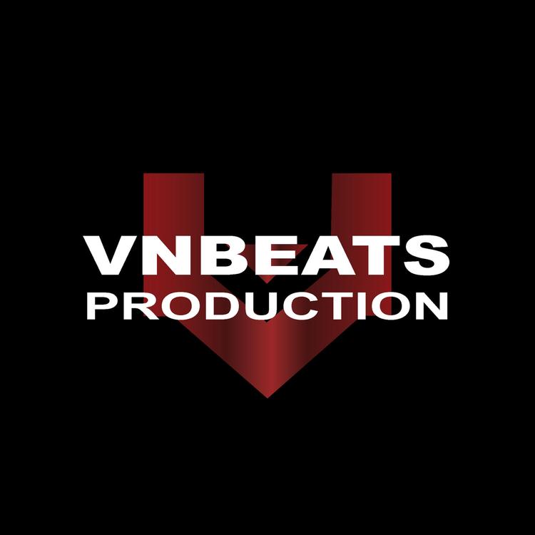 VNBEATS PRODUCTION's avatar image