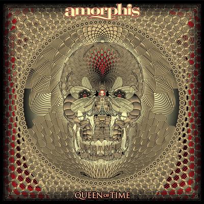 Message In The Amber By Amorphis's cover