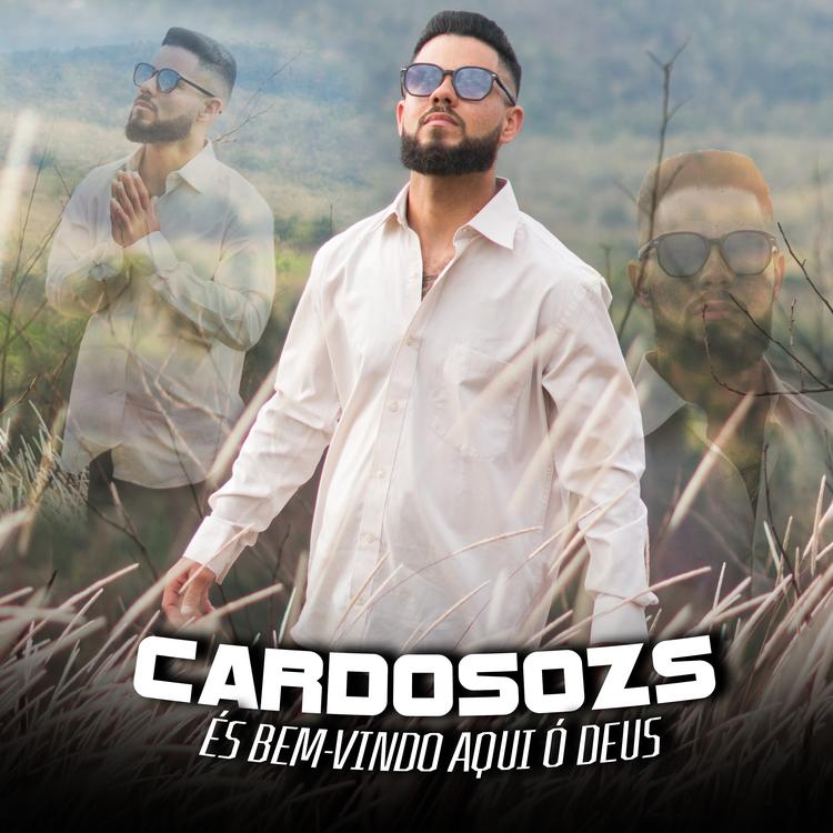 Cardosozs's avatar image