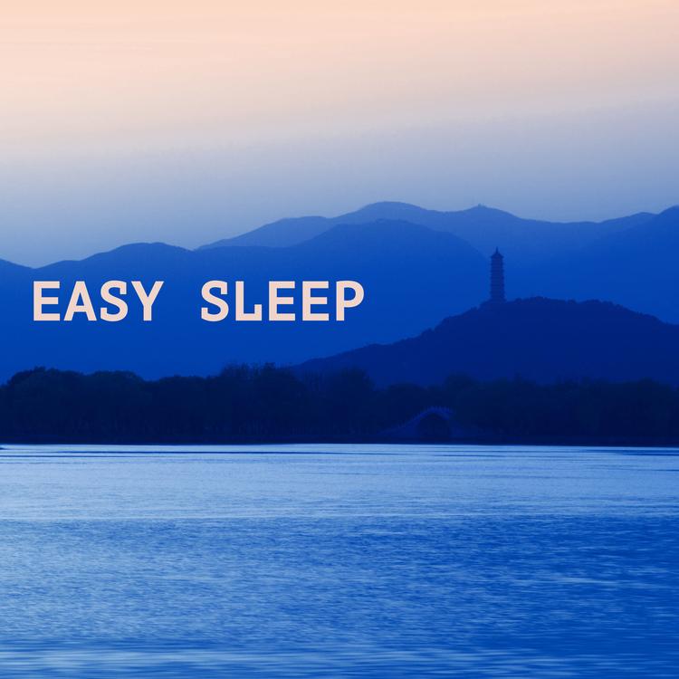 Easy Sleep Every Night's avatar image