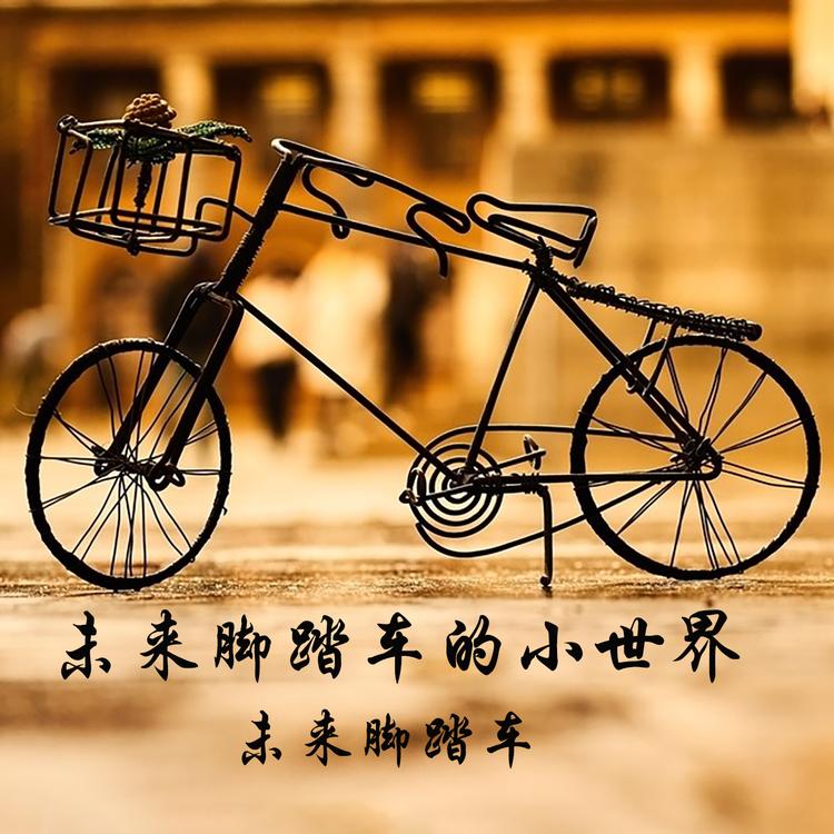 未来脚踏车's avatar image