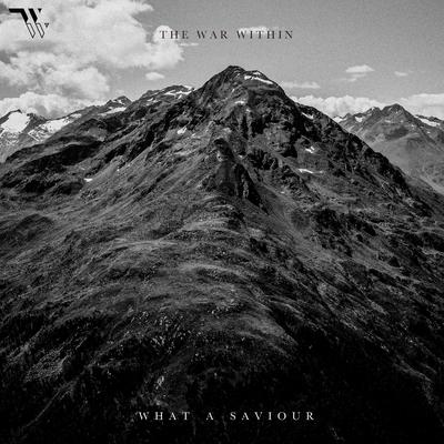 What A Saviour By The War Within's cover